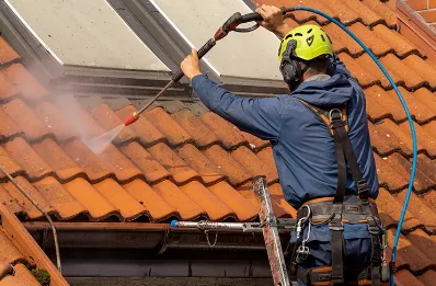 Démoussage et hydrofuge de toiture à Arenthon